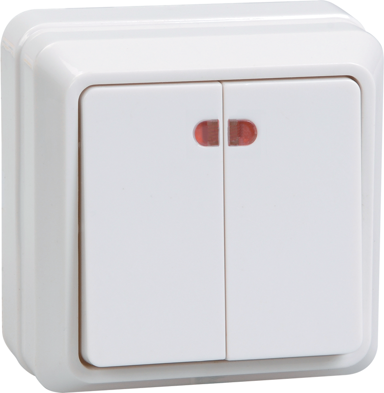  Switch 2 button 10A illuminable VS20-2-