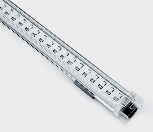 Lingo LED 3W, 24V, Dimmable, IP20