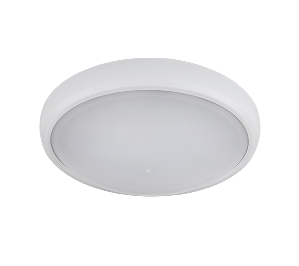 LED LAMP OVAL BRLED 12W WHITE IP54